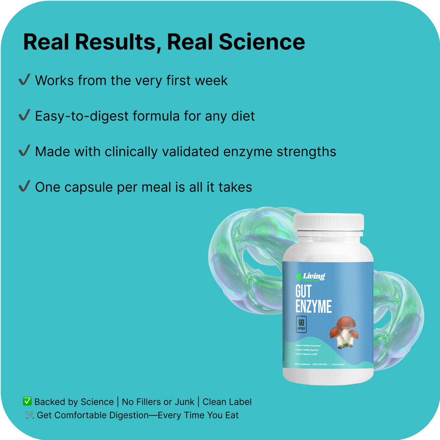 Gut Enzyme