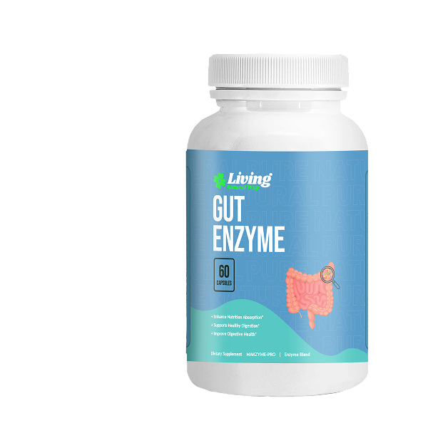 Gut Enzyme