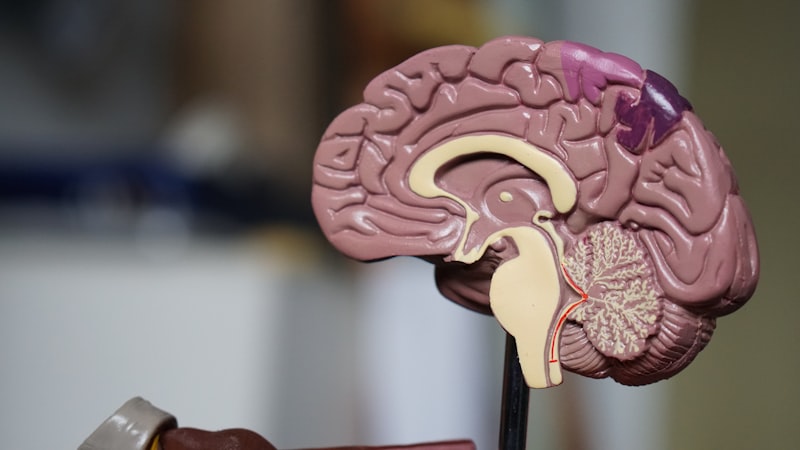 Berberine for liver health
