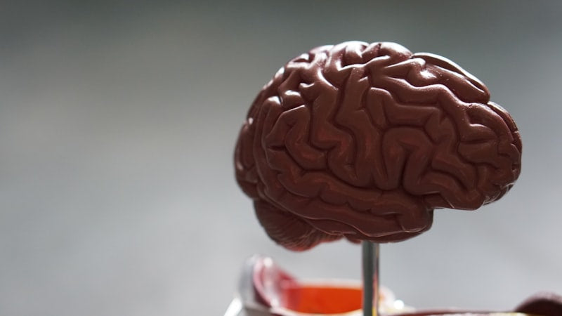 The Silent Liver Crisis Affecting Millions of African Americans