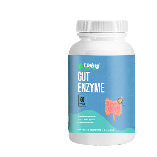 Gut Enzyme