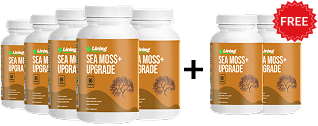Sea Moss++ — Buy 5, Get 2 FREE (One-Time Purchase)