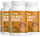 Sea Moss+ (3 Bottles, 3 Month Supply)