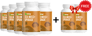 Sea Moss+ (Buy 5 Get 2 FREE, 7 Month Supply)
