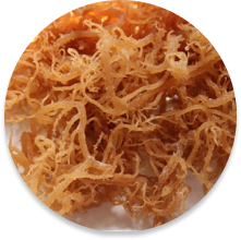 Organic Irish Sea Moss