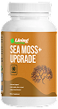 Sea Moss++ — Buy 5, Get 2 FREE (One-Time Purchase)